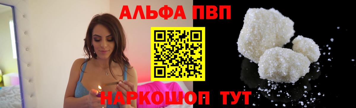 Альфа ПВП СК КРИС  Вход с VPN  APVP СК КРИС  Ставрополь 