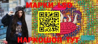 мяу мяу мука Краснознаменск