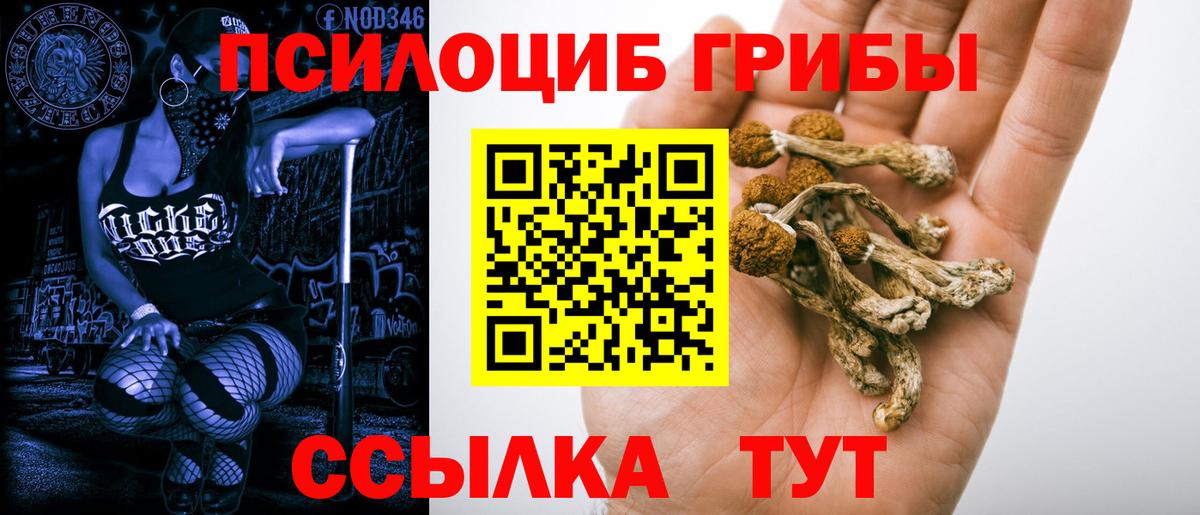 Псилоцибиновые грибы Magic Shrooms Ставрополь